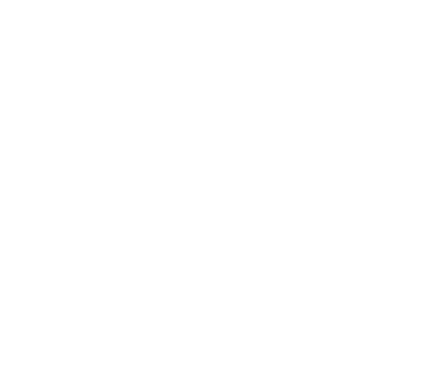 Sentinel Bank Shield Logo